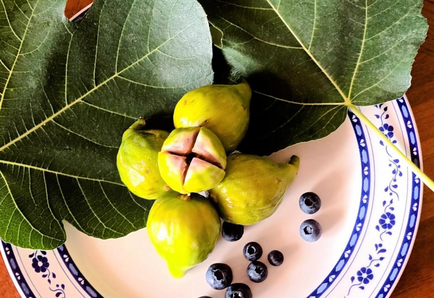 Marano Marchesato La Residenza Del Marchesato Bed & Breakfast エクステリア 写真