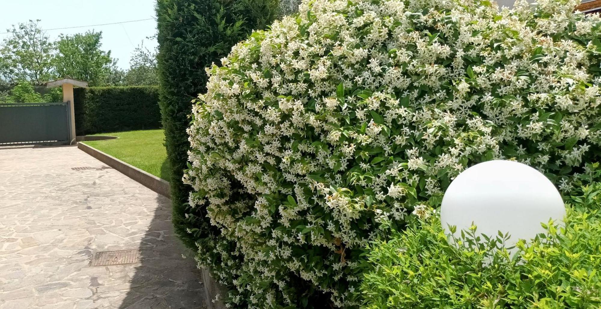 Marano Marchesato La Residenza Del Marchesato Bed & Breakfast エクステリア 写真