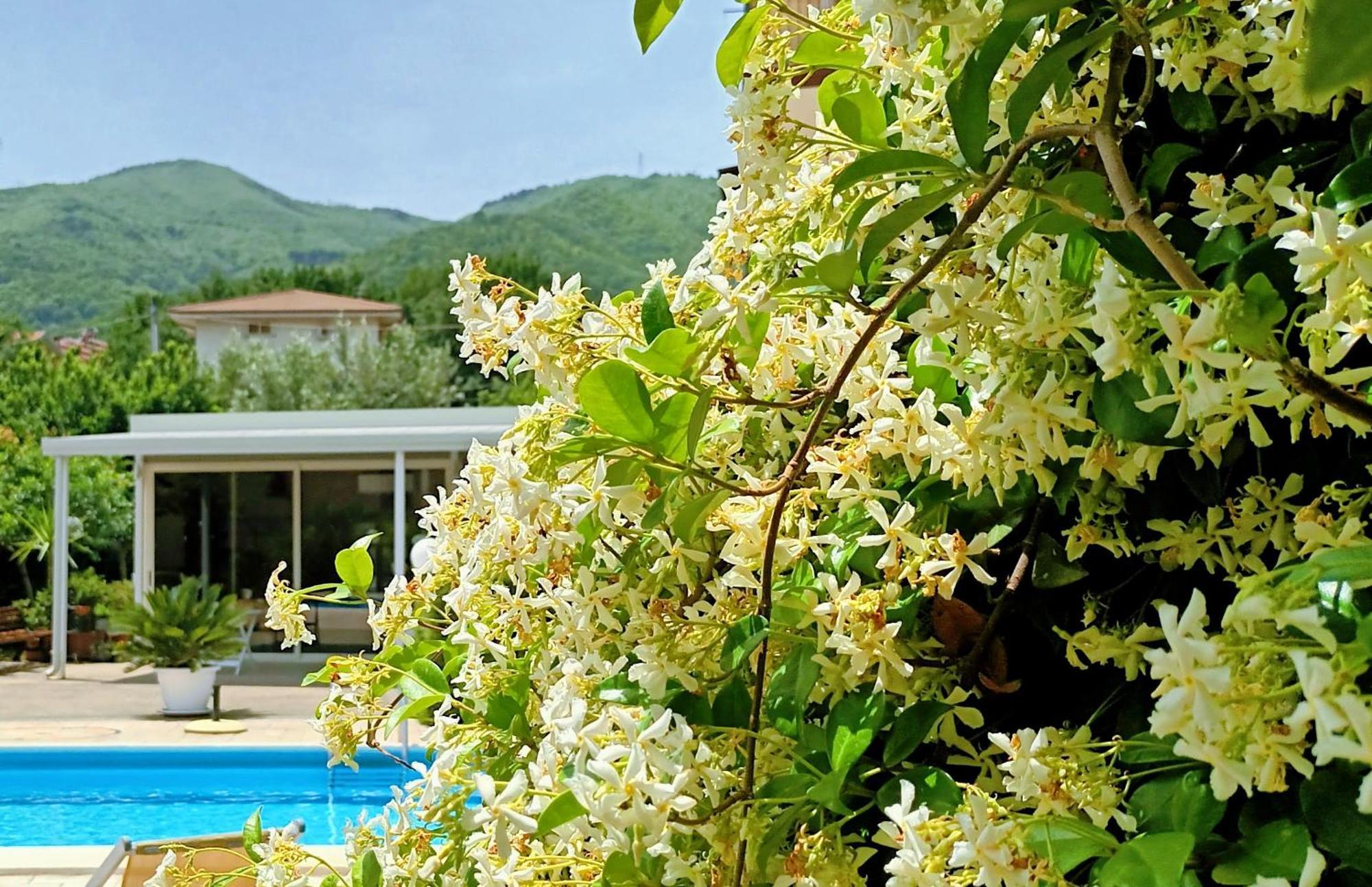 Marano Marchesato La Residenza Del Marchesato Bed & Breakfast エクステリア 写真